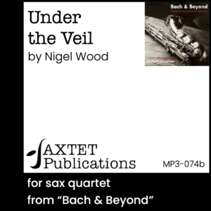 MP3 - Under the Veil